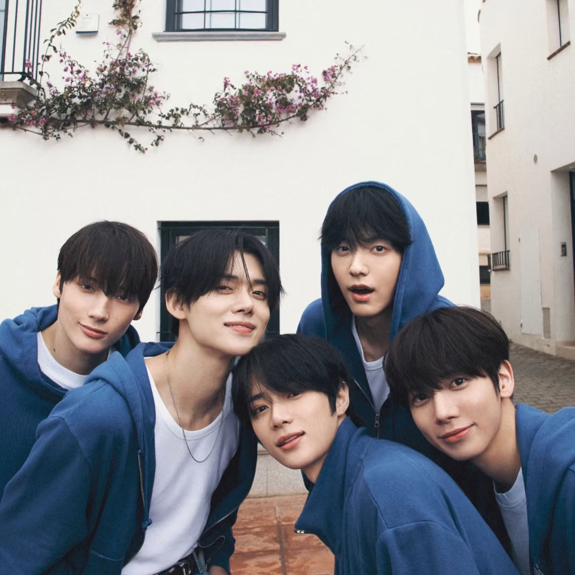 TXT 档 专辑 随机卡 小卡