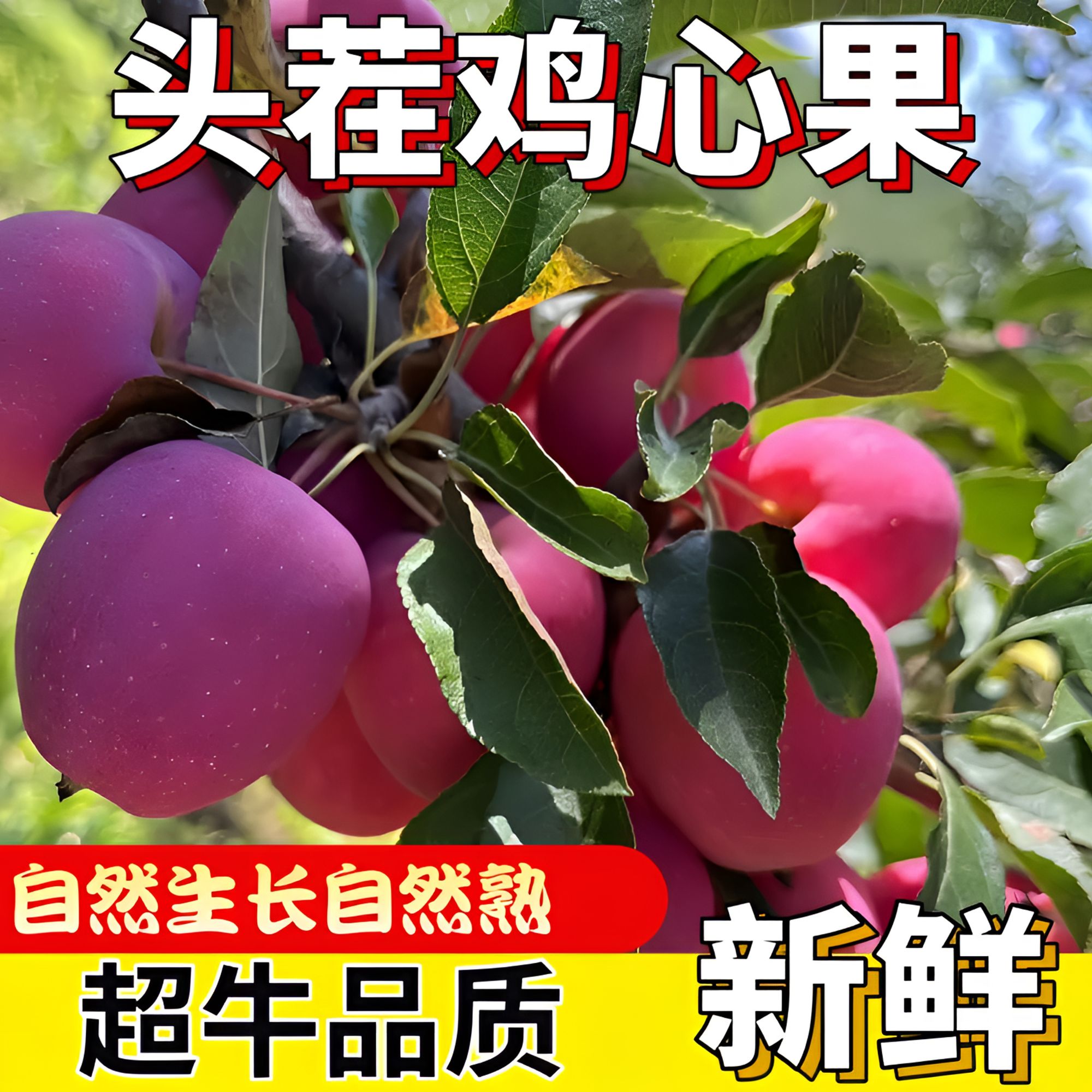 霜打【甜脆爆汁】东北特产优选鸡心果自然熟小苹果