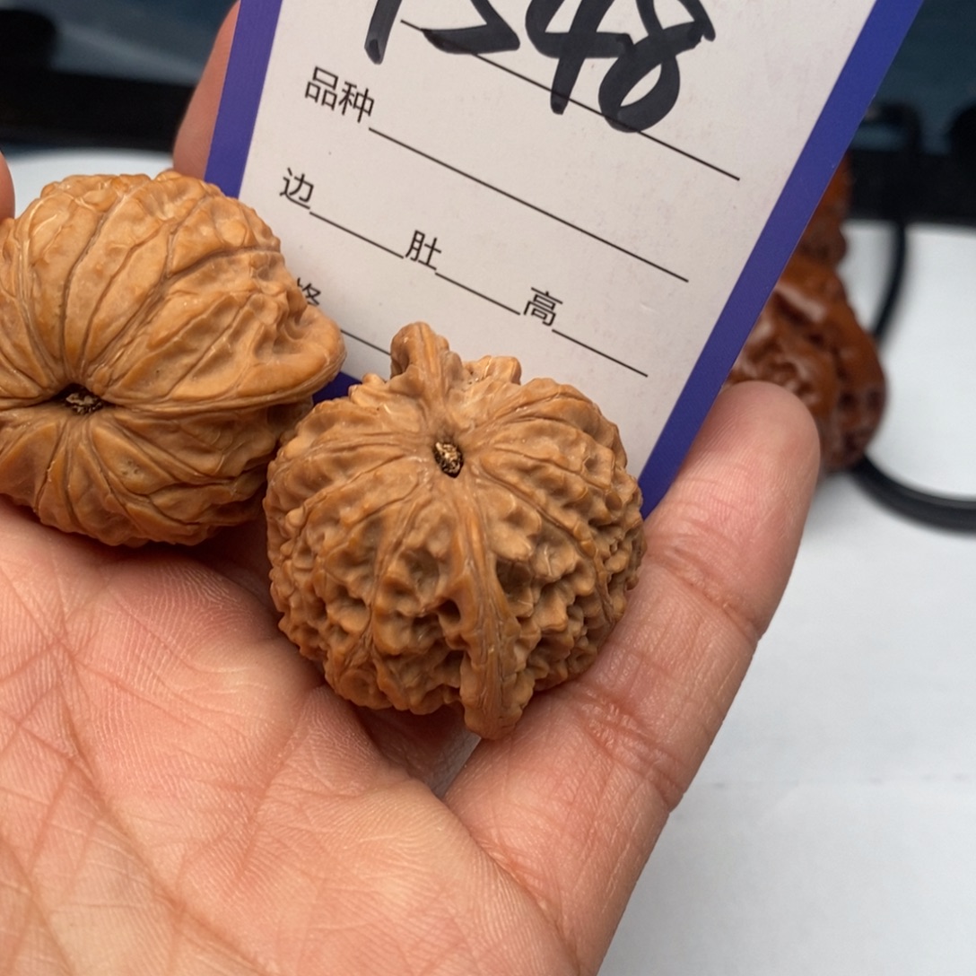 把件文玩核桃1548