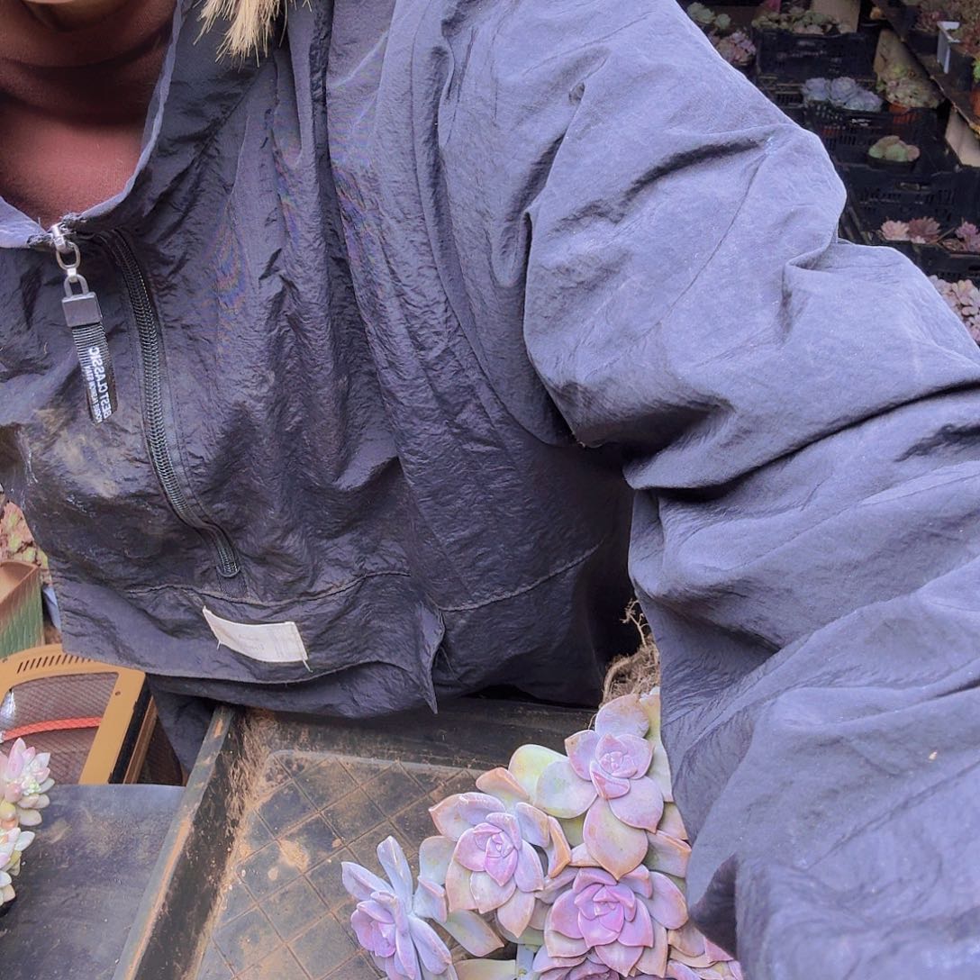 凉***安011大紫乐一物一拍011