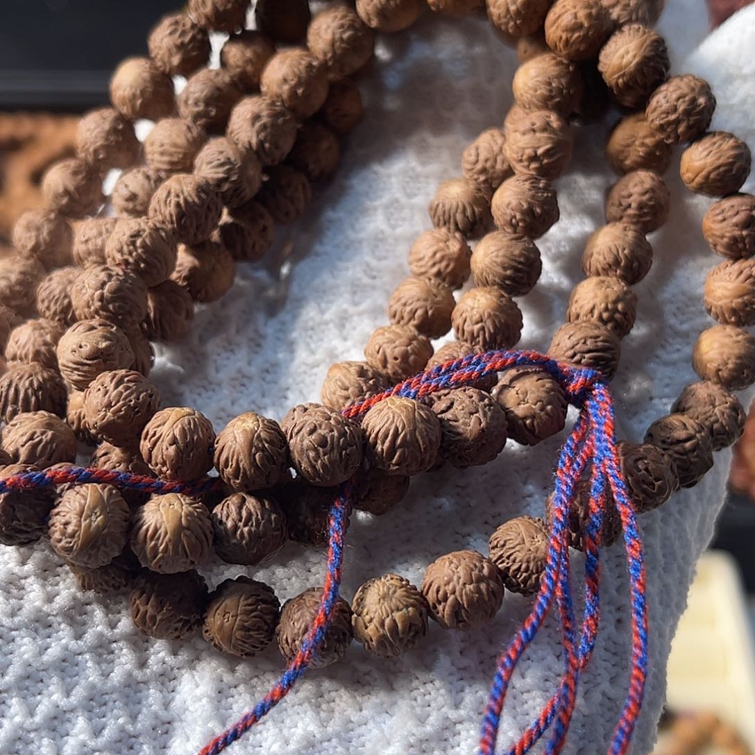 木质非金属酸枣核120颗