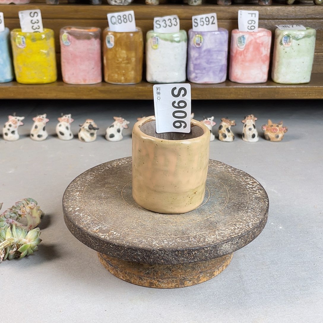 限量特价福利引流款 内口5 左右 百搭