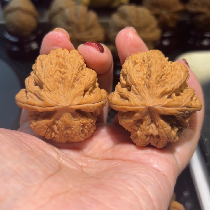 核桃手串/手链38全品大粗筋一对核桃