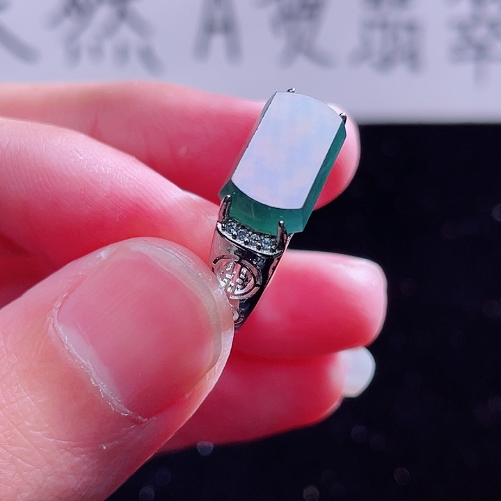 翡翠颈饰未镶嵌999999999