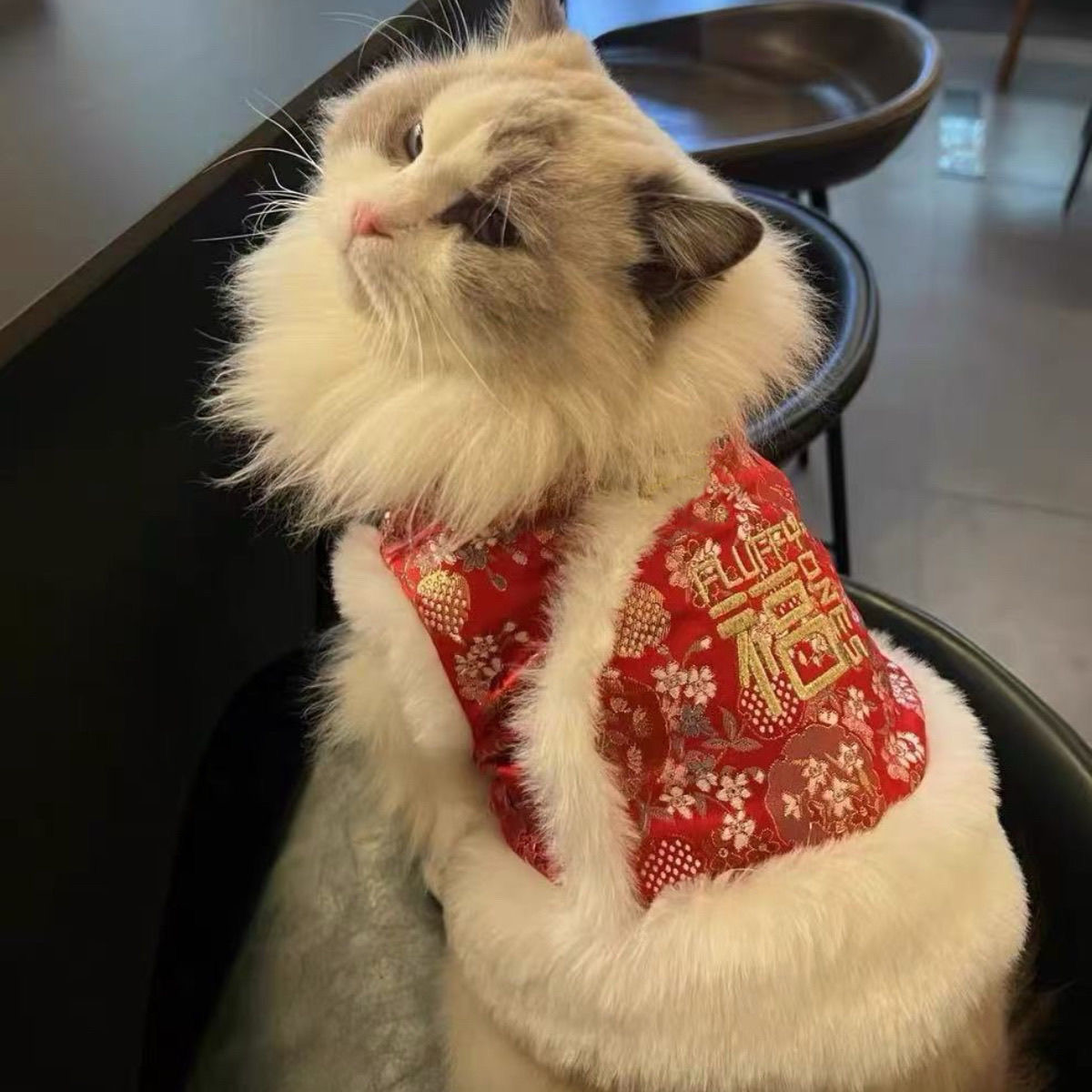【重工--部分微瑕】猫咪衣服冬季保暖狗狗小号衣服圣诞节毛衣新年