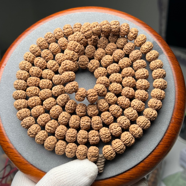 五瓣矮桩老树王小金刚，尺寸11.5mm，原皮原色，