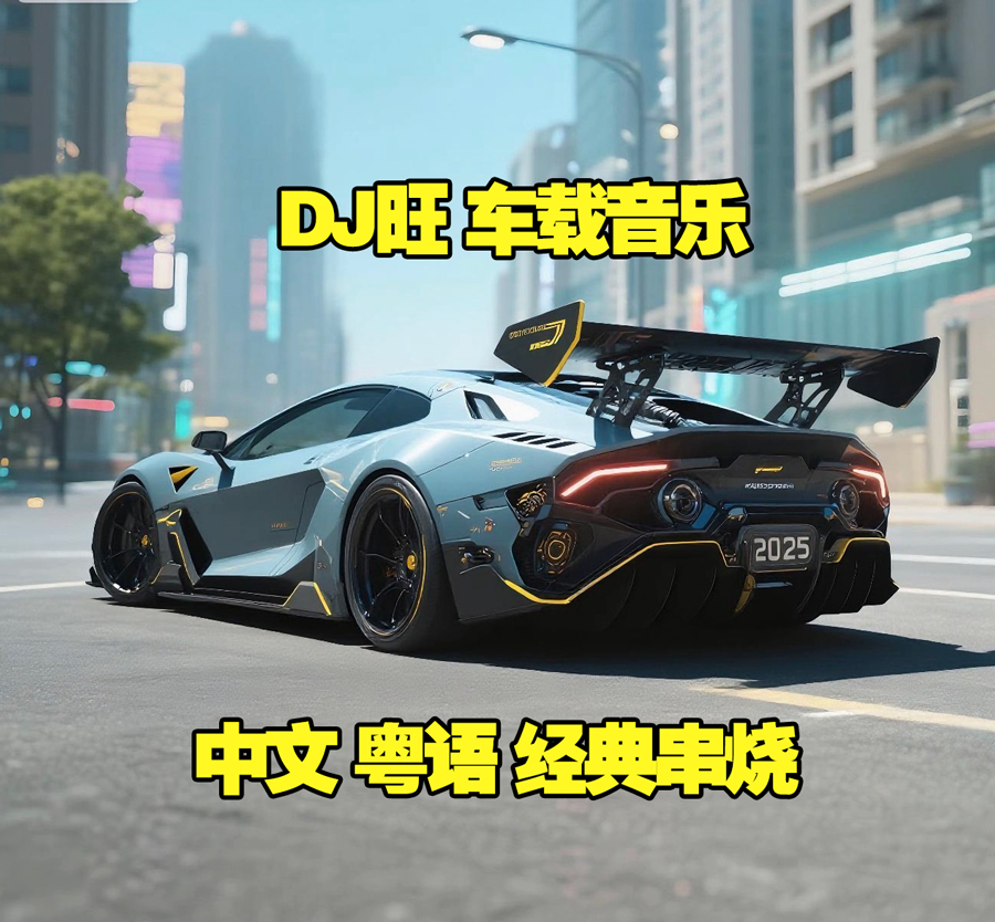 DJ旺 超嗨车载音乐