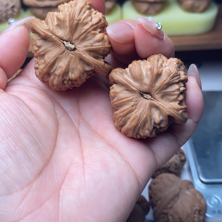 没***字大叶紫檀（黑酸枝木类）文玩核桃白狮子