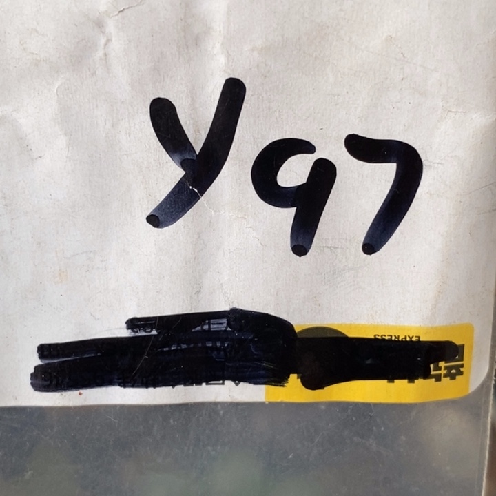 火***V金属德宝文玩专属链接