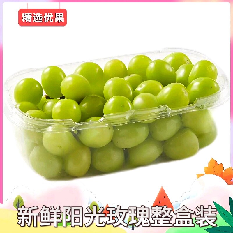 阳光玫瑰青提新鲜无籽提 粒果去枝干 多仓发货 盒装非整串坏果包赔 介意勿拍Xd四川省