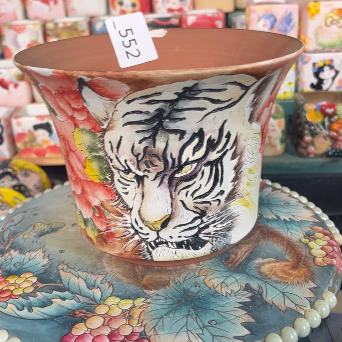 L***T552多肉花盆   1个