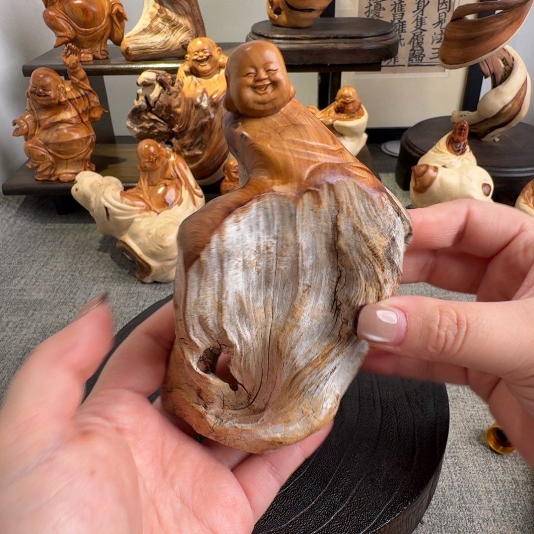 柏木（崖柏）关注一下