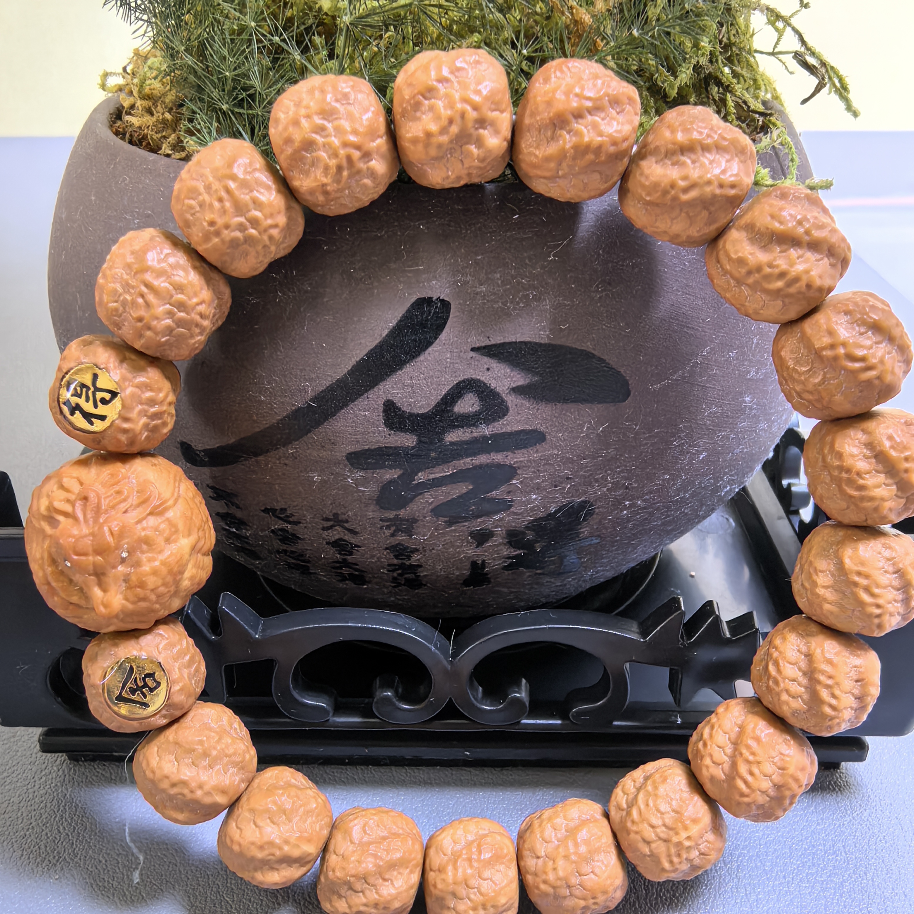 高品质毕业级猴头核桃双标版灵蛇全品11＋