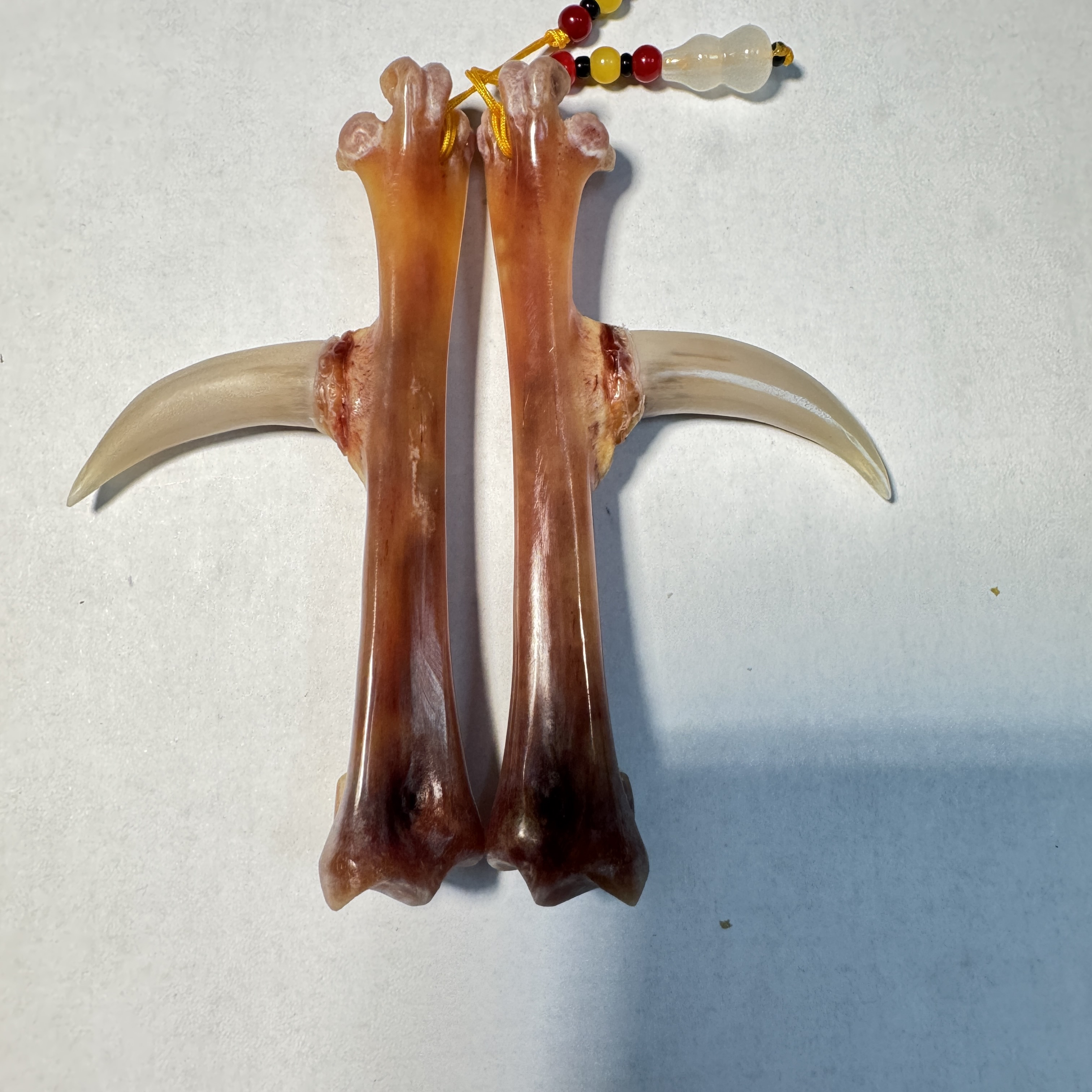 鸡爪骨工艺品，白色蹬鸡爪骨一对