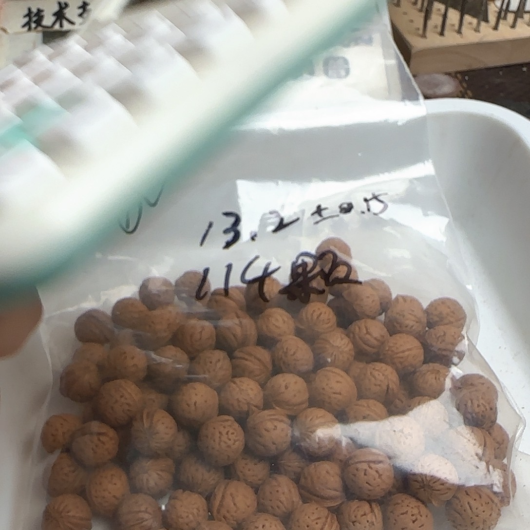 大***飞柏香籽/百香籽吊坠