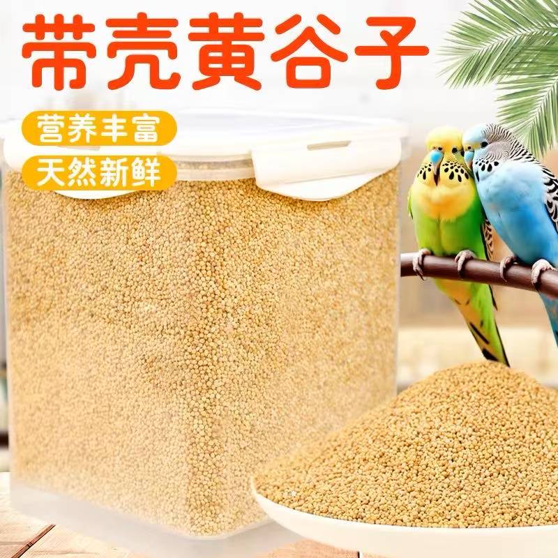 鹦鹉鸟粮带壳黄谷子小米鸟食鸟粮虎皮鹦鹉饲料专用粮食营养饲料