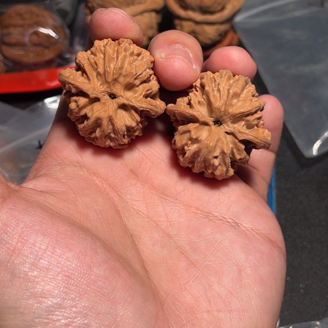 全***犟36全品原桩红皮苹果圆
