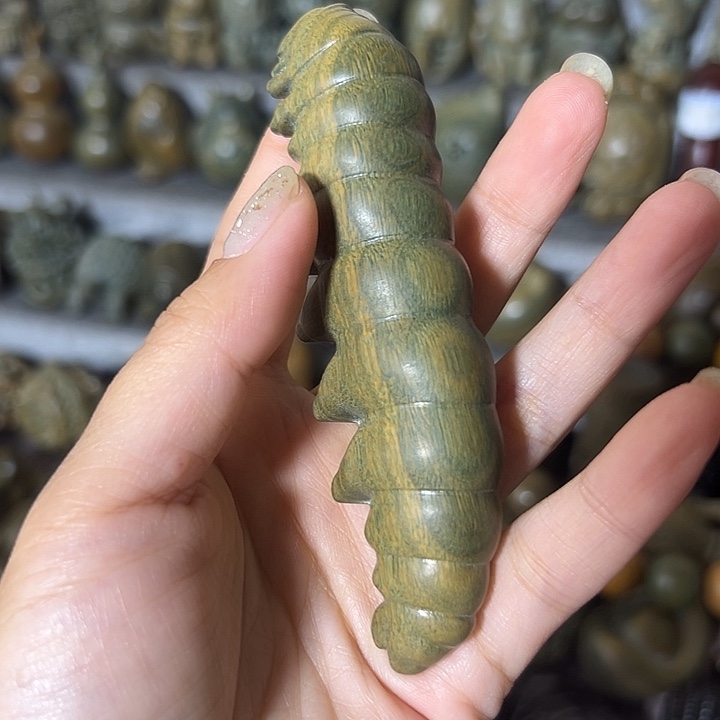 木宇**啸阿根廷绿檀虫虫