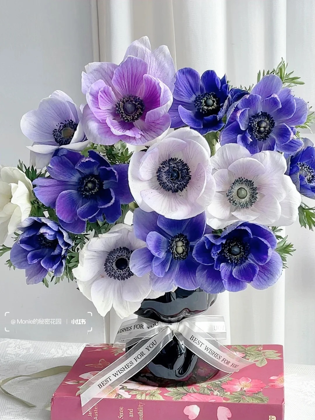 【银莲花】小花精选0℃以下请拍保温棉冻坏不售后