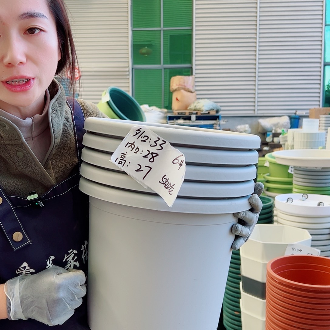 四季盆6#灰白5个无托