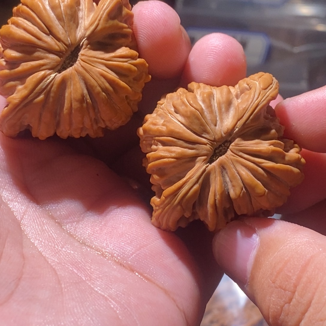 达***摩吊坠文玩核桃43楼全品