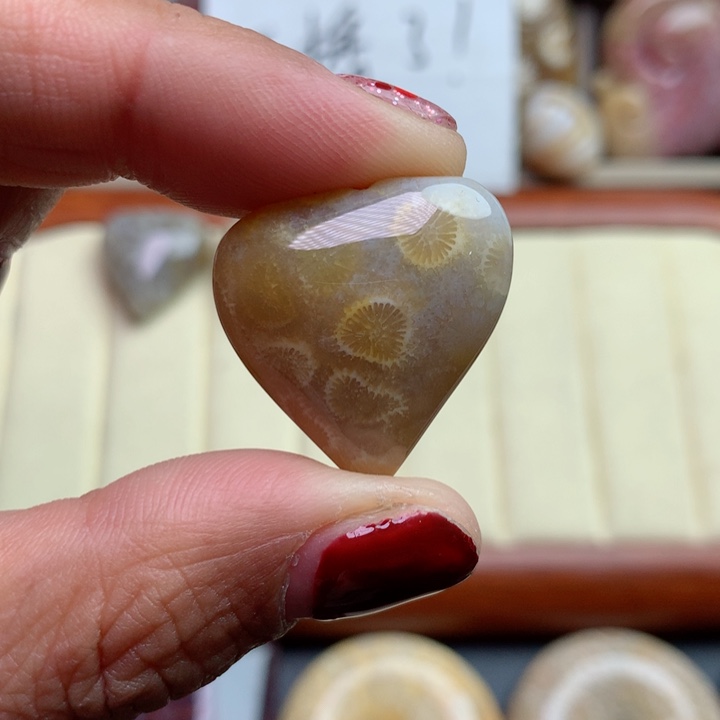 硅化珊瑚（珊瑚玉）颈饰未镶嵌