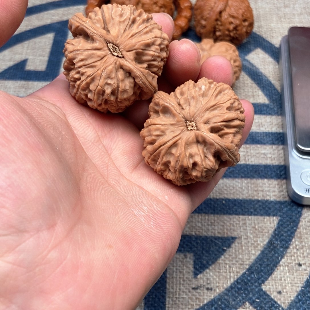 文玩核桃把件水龙纹42