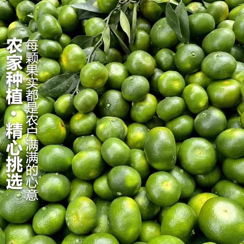 青皮橘子蜜桔云南早熟华宁柑橘现摘产地直发新鲜当季孕妇酸甜水果