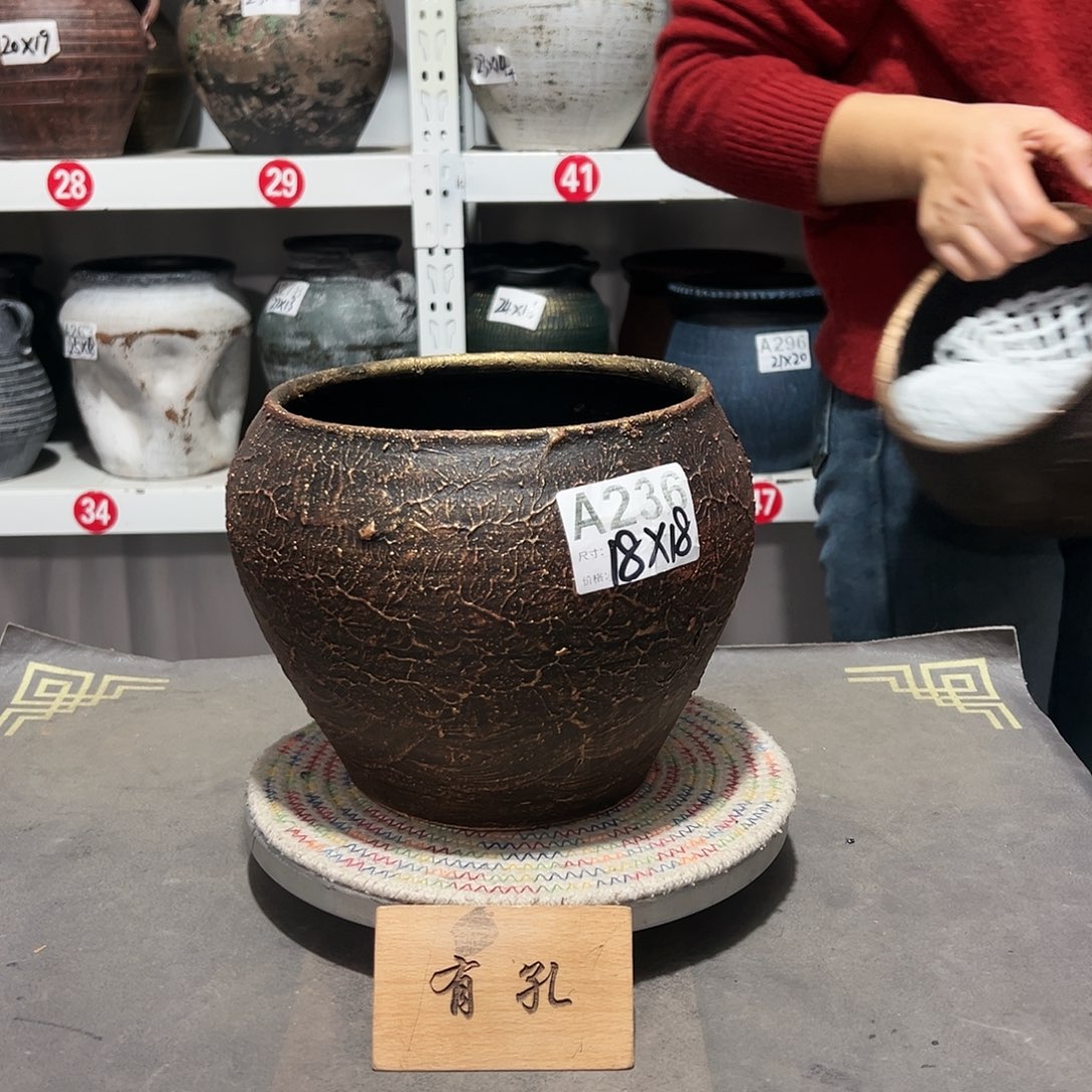 红陶61金红有孔有孔有孔