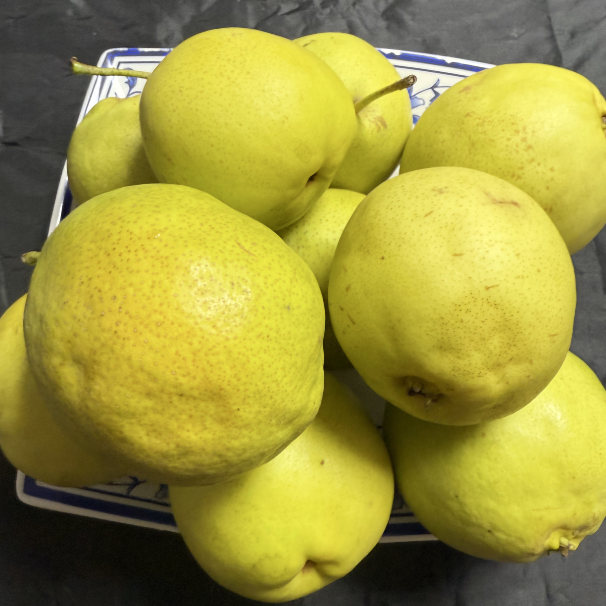 马志国甘肃临夏广河特产冬果现摘现发兰州热冬果专用