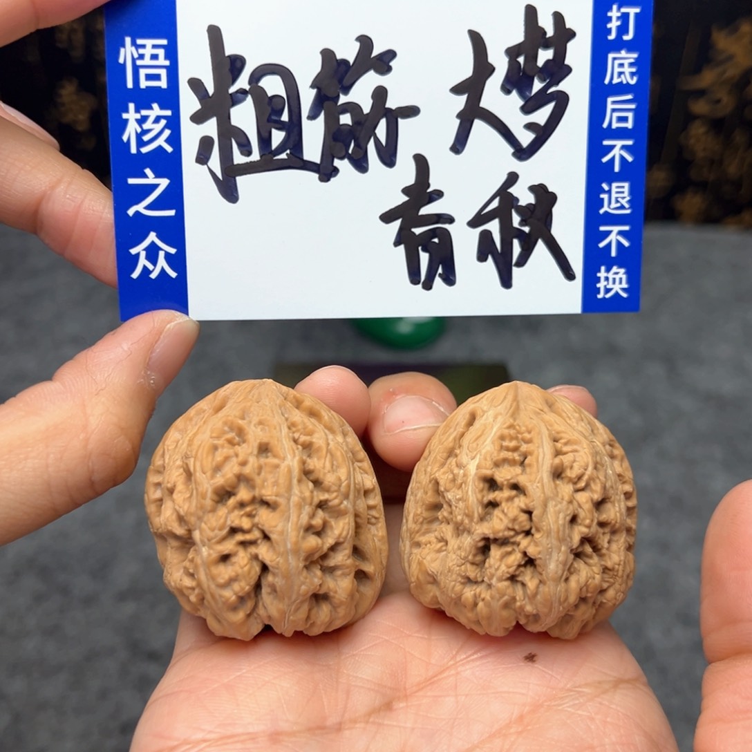 文玩核桃把件大**秋粗筋