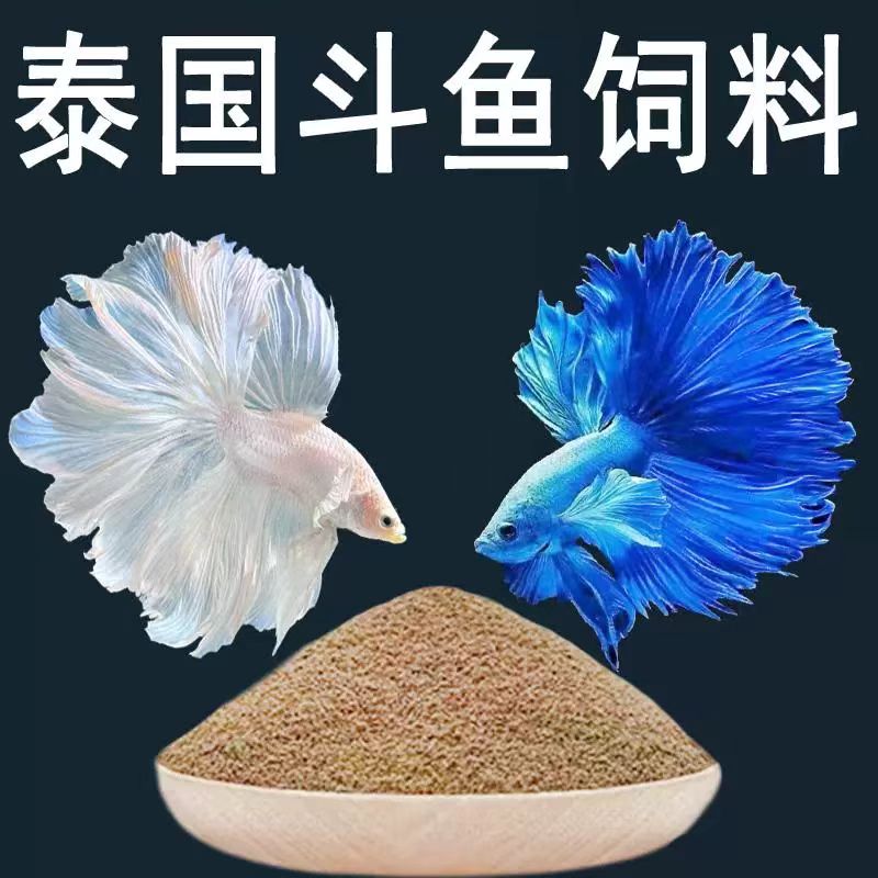 斗鱼小型热带观赏鱼高蛋白饲料