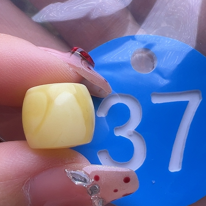 未镶嵌蜜蜡裸石微瑕 12mm直切