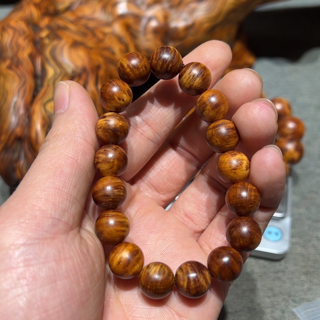 太行崖柏陈化太行