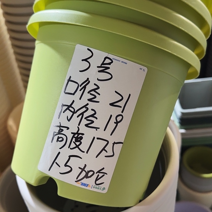 四季3#无托果绿10个