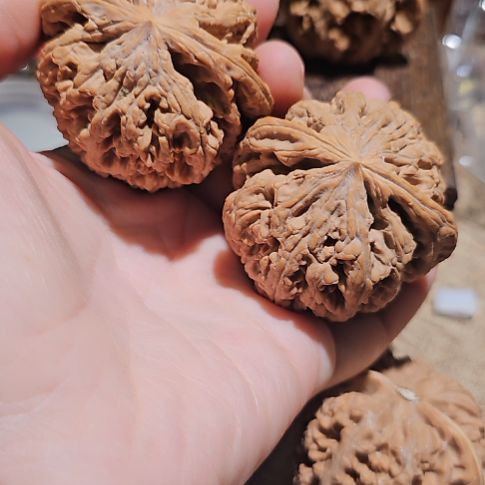 文玩核桃吊坠50粗筋