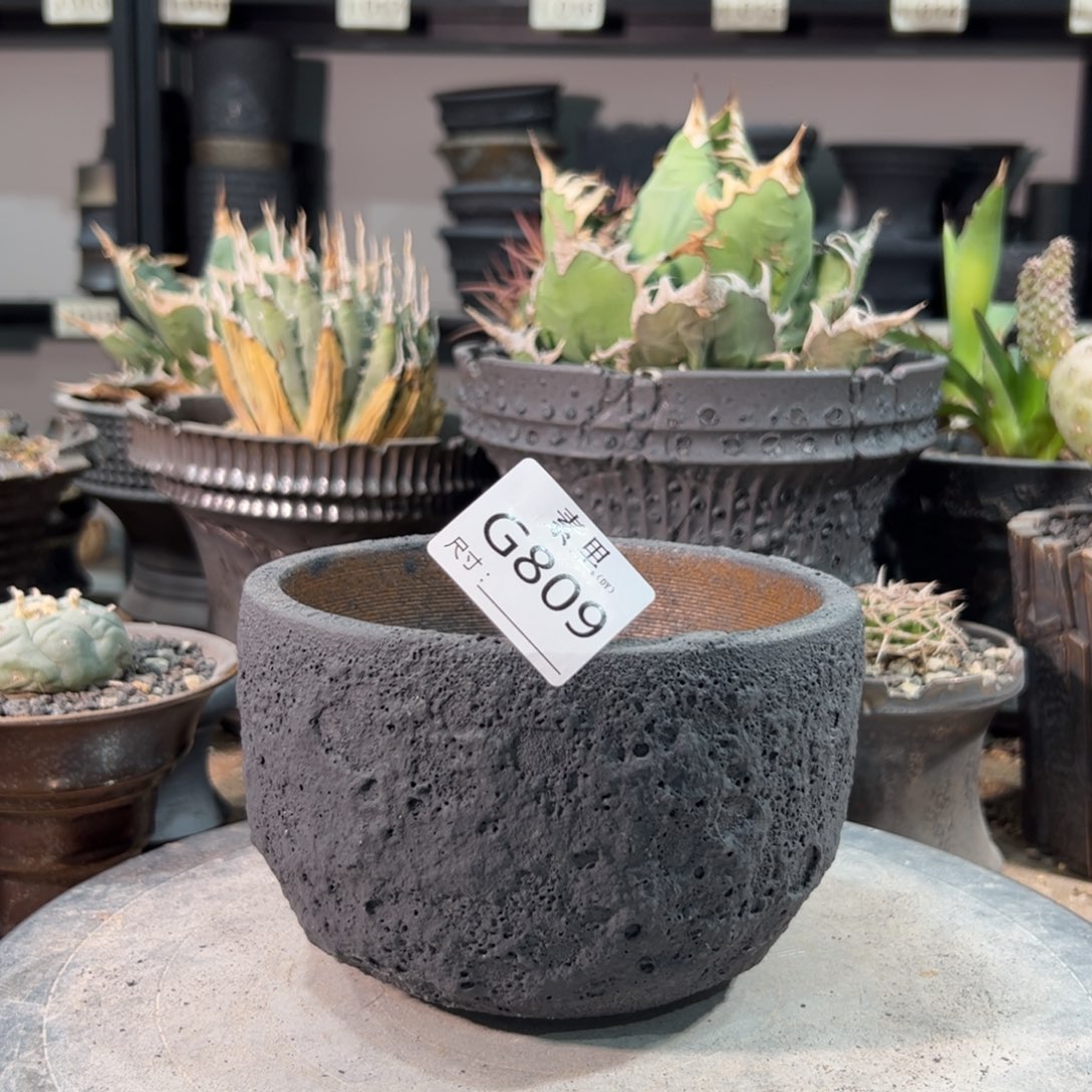 景德镇手工素里内口13.5高9.5