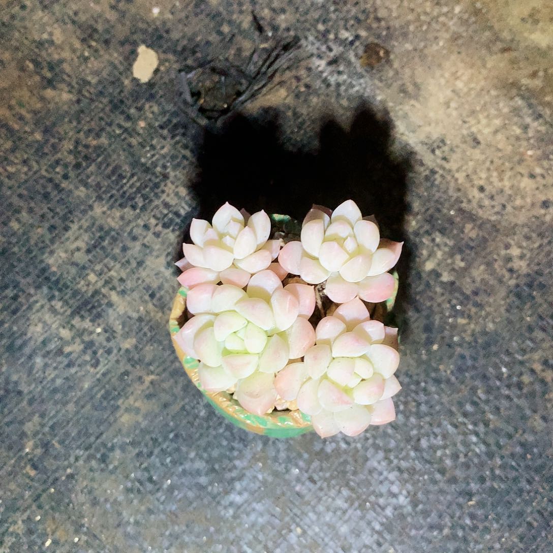 完全开放是否是我们生命当中所有存在