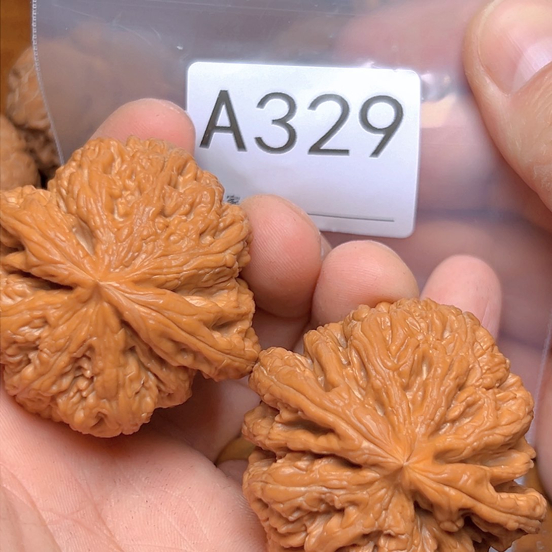 文玩核桃吊坠47➕大粗筋