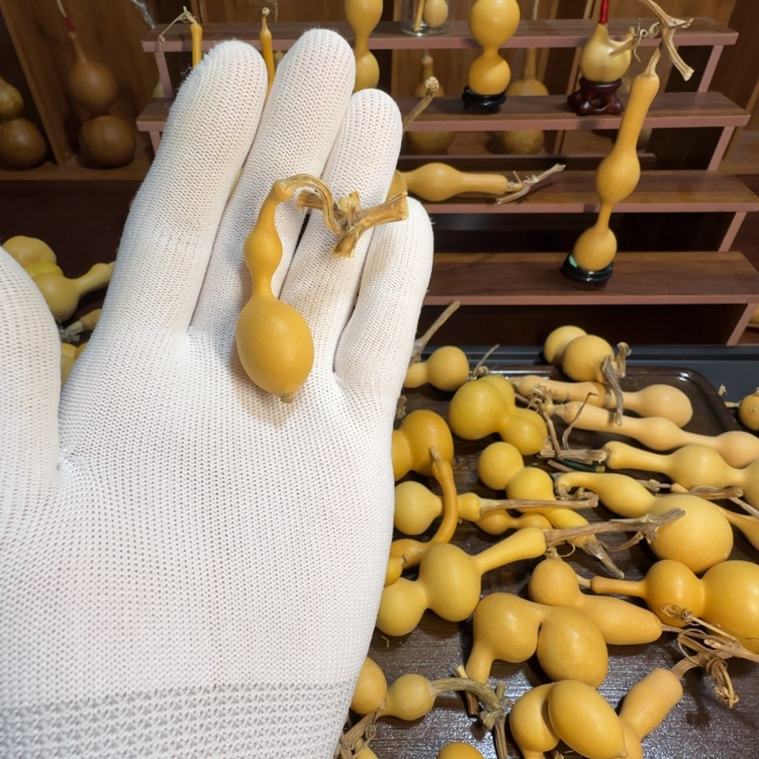 葫芦蚂蚁777777777