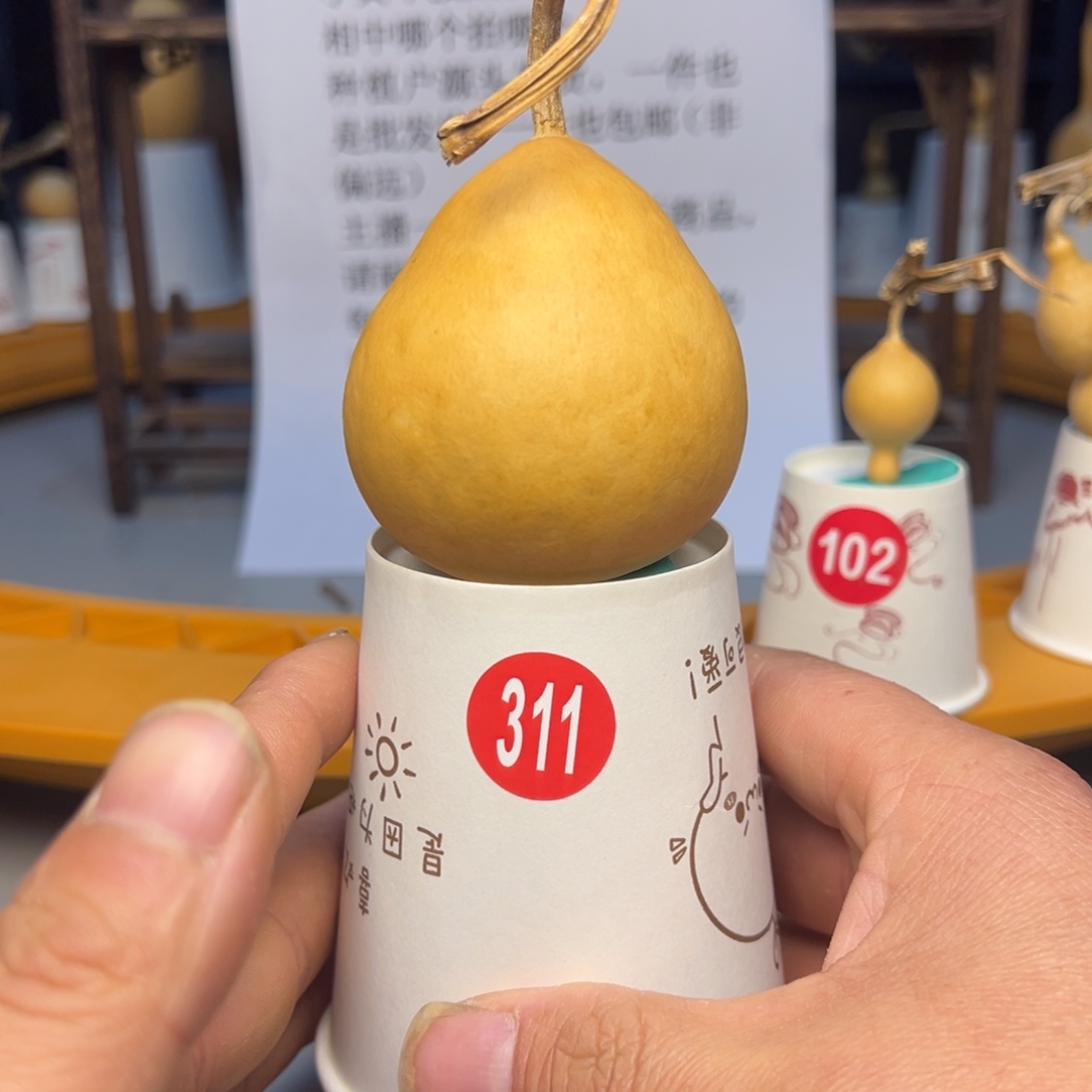 闪电购自助下单编号311