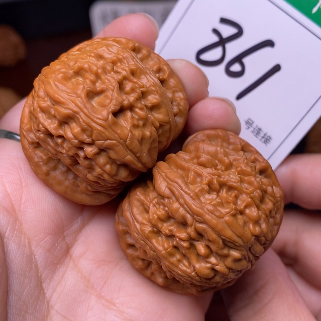 把件文玩核桃861闷尖球白狮子头4.1