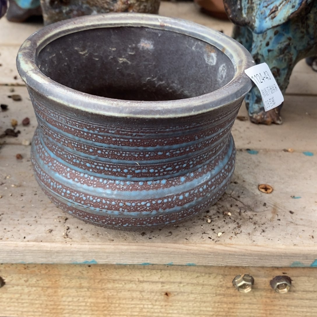 43号多肉盆口径9高8