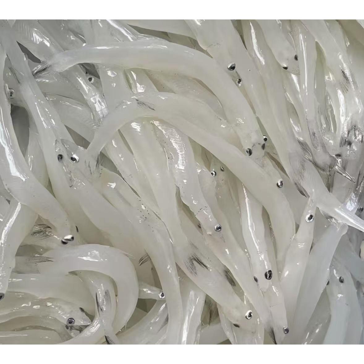 阳江发货深海新鲜海捕白饭鱼银鱼2斤装净重无刺无鳞肉质鲜嫩