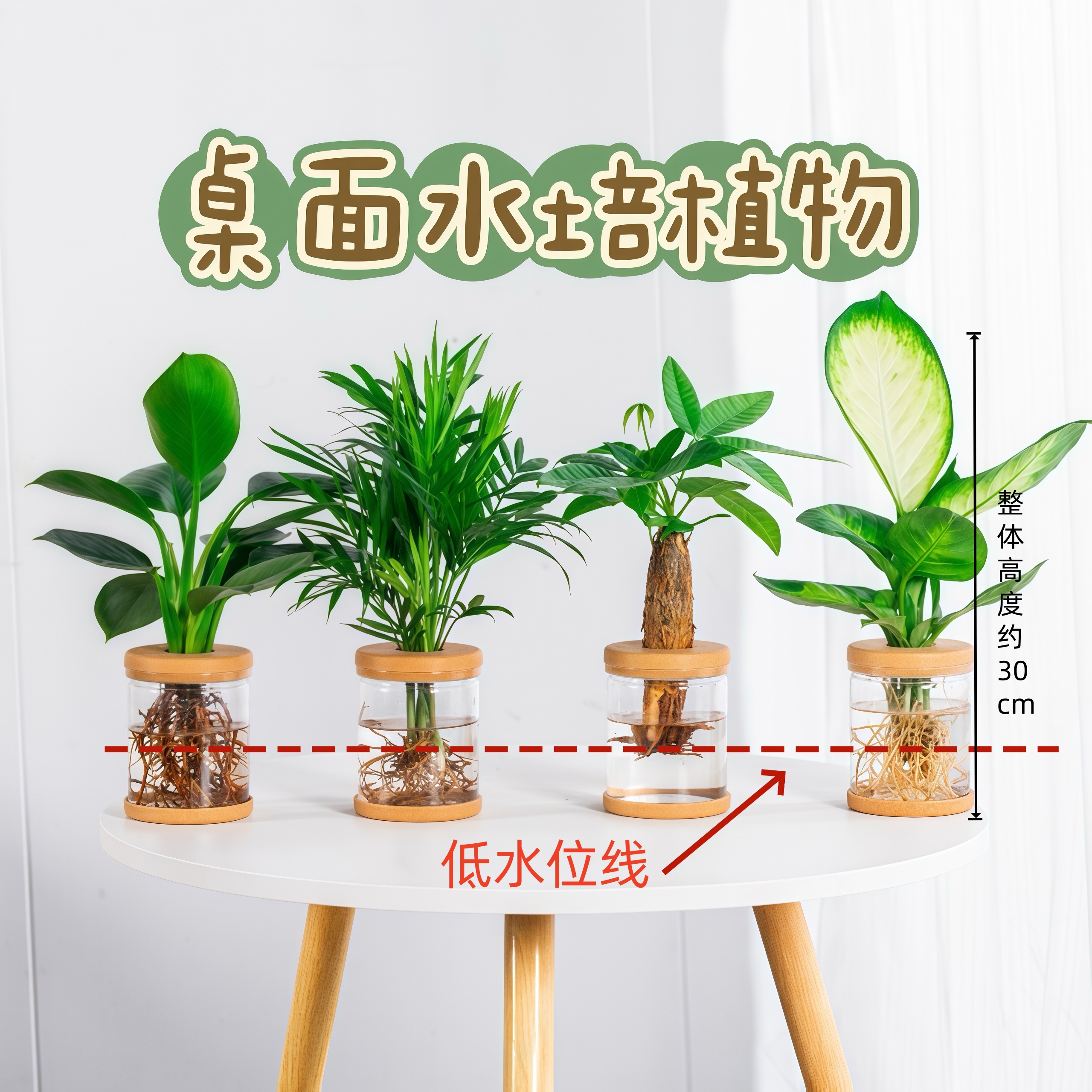 【买三送一】发财树椰子天堂鸟水培喜阴植物室内桌面盆栽茶桌绿植