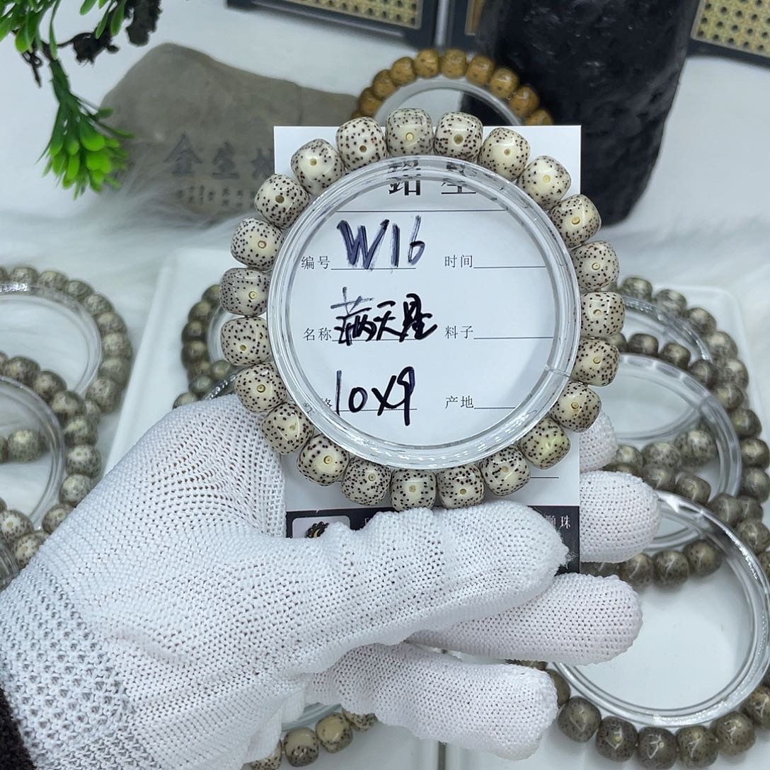 菩提籽类W16 满天星 10