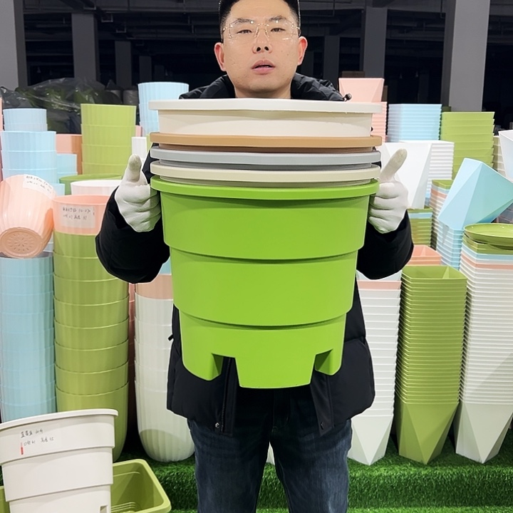 正品蓝莓盆口39高33白色3只无托