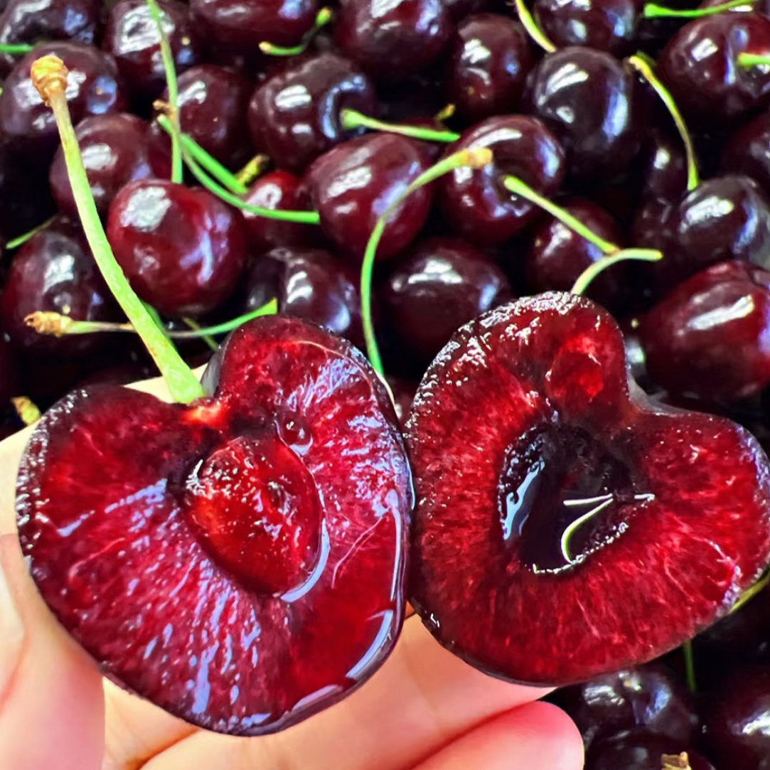 【V嘉精选】智利空运进口车厘子单J现货五斤一箱全城配送内附果径卡桑提娜智利