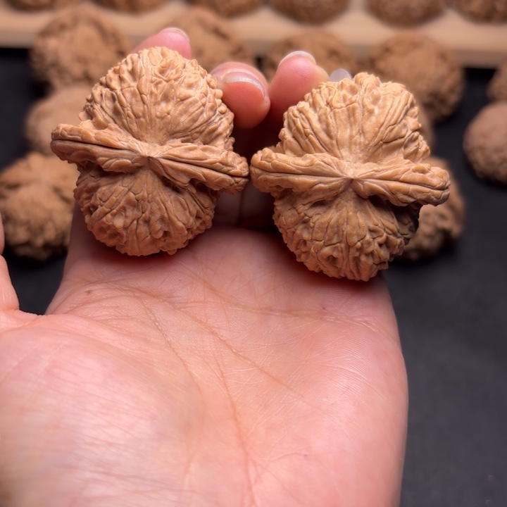 把件文玩核桃41白狮子克重42.8