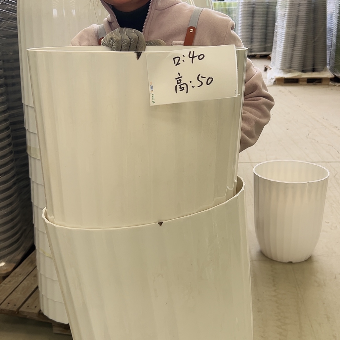 瑕疵竖纹6#白色2个无托